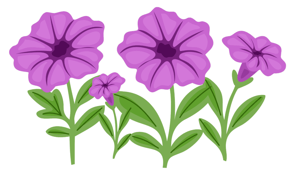 Invitaciones digitales personalizadas para bodas elegantes